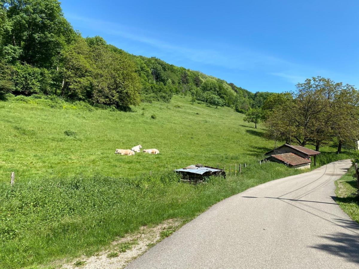Midori Villa Saint-Rambert-en-Bugey ภายนอก รูปภาพ